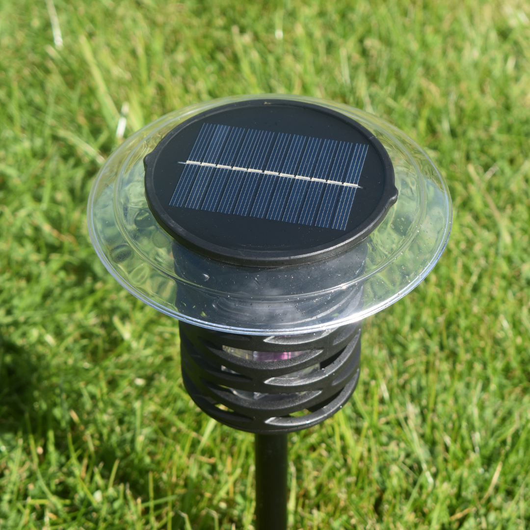 solar ground lantern and bug zapper in black with black ground spike and solar panel above.