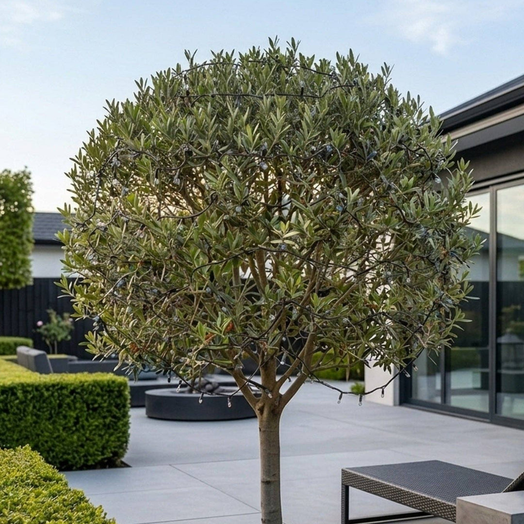 Modern outdoor patio with a tree covered in LED string lights