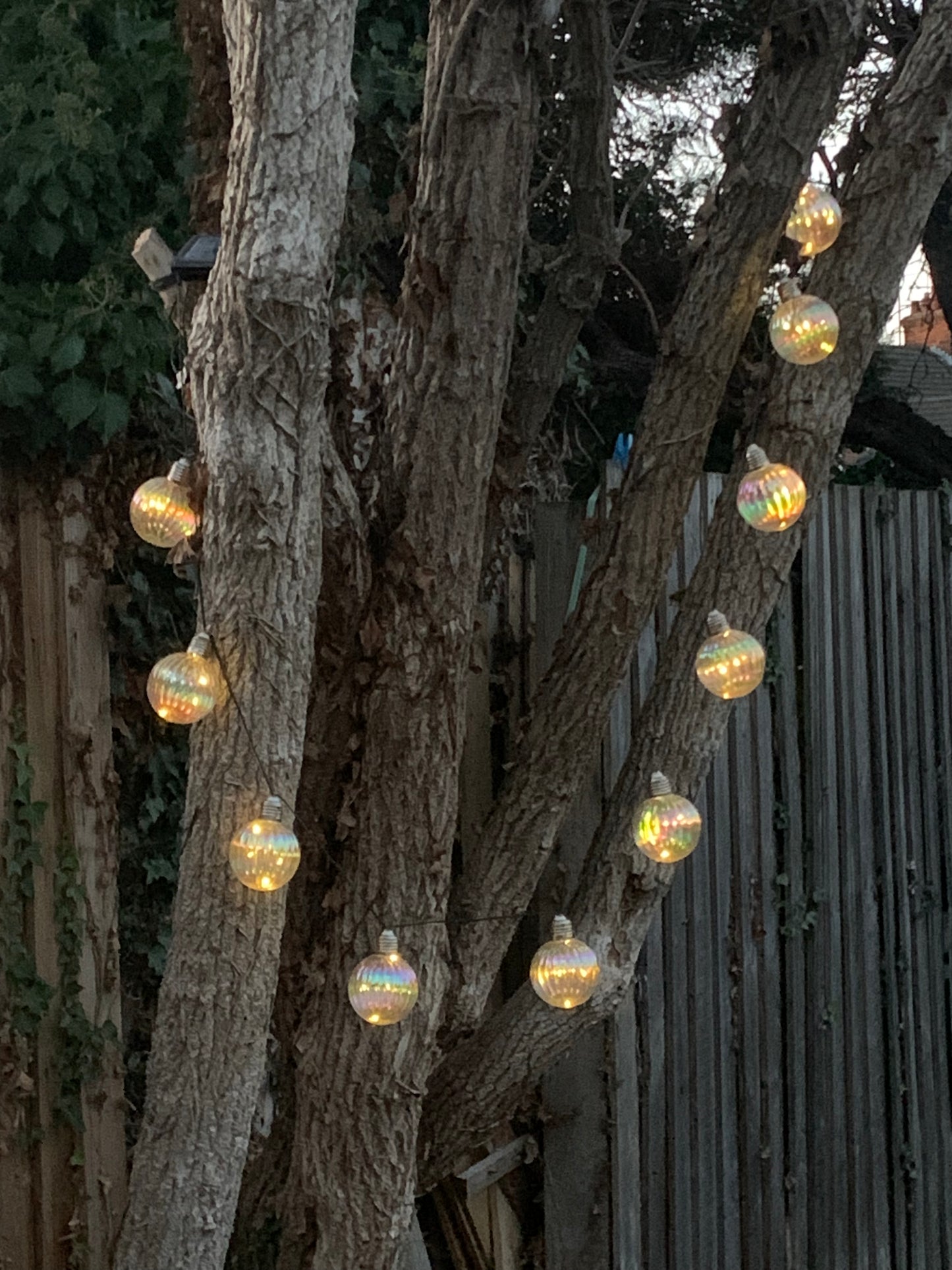 Solar String Lights | LED Rainbow