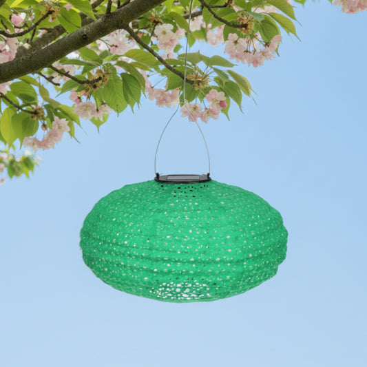 Green hanging lantern on a branch