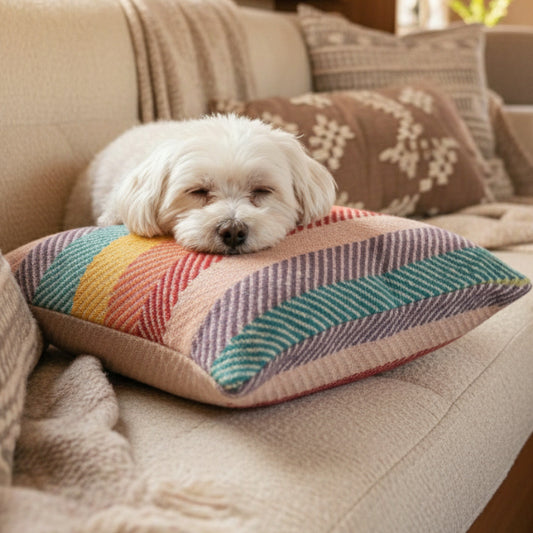 Multicolored striped cushion on a beige sofa, white dog resting its head on top