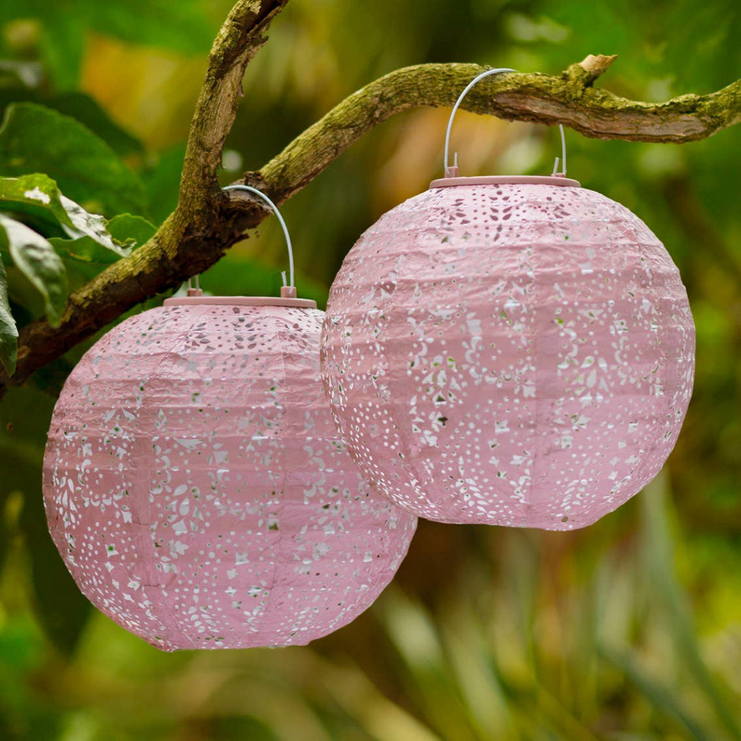 Two pink paper solar lanterns hanging from a branch with green foliage in the background