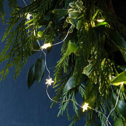String lights draped through green foliage against a dark background